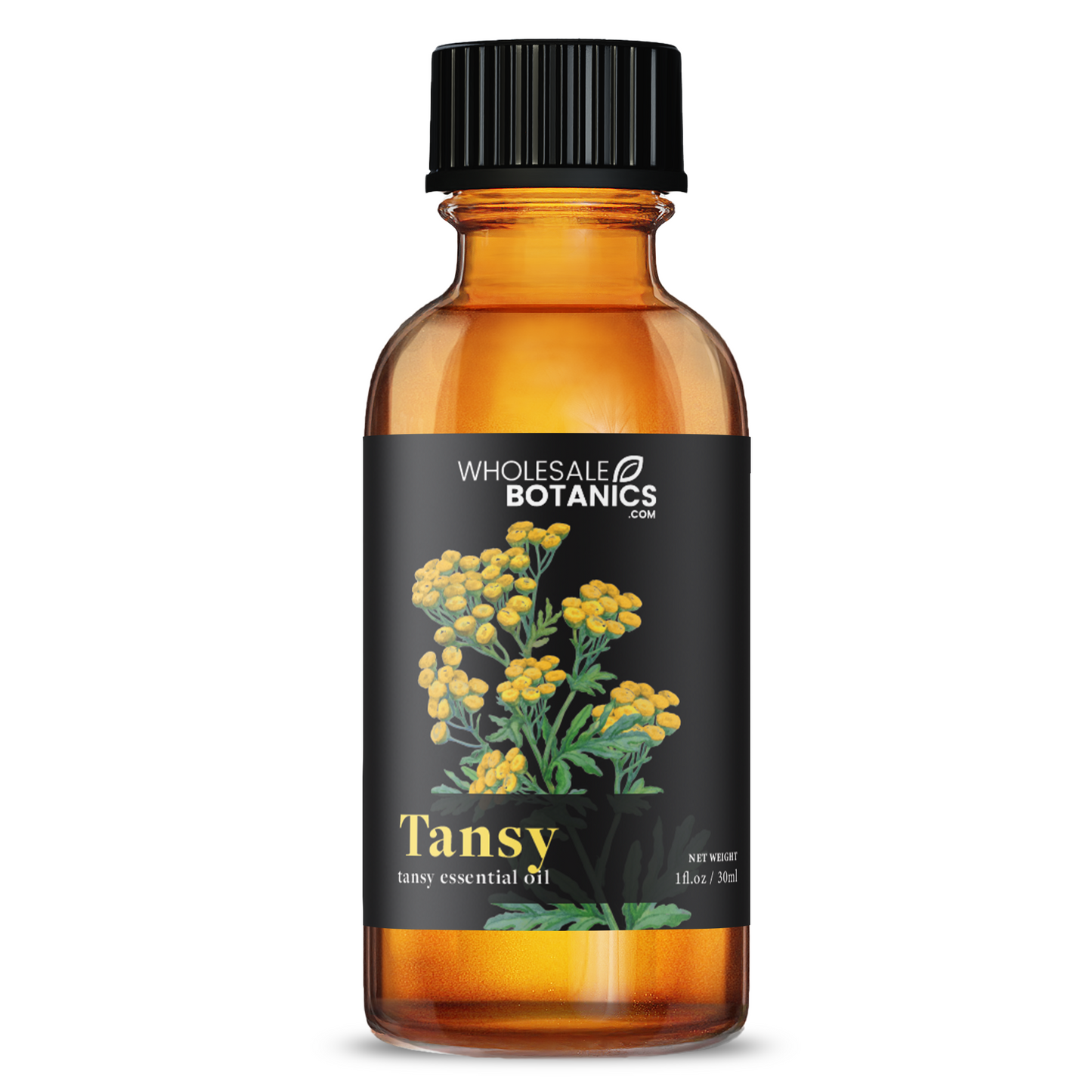 Tansy Essential Oil