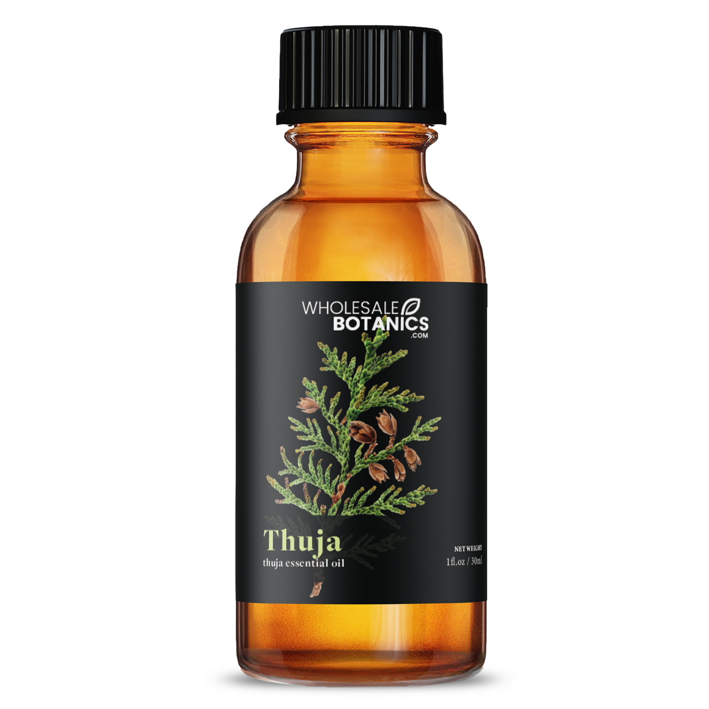 Thuja Essential Oil