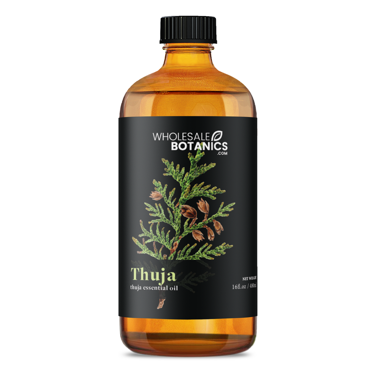 Thuja Essential Oil