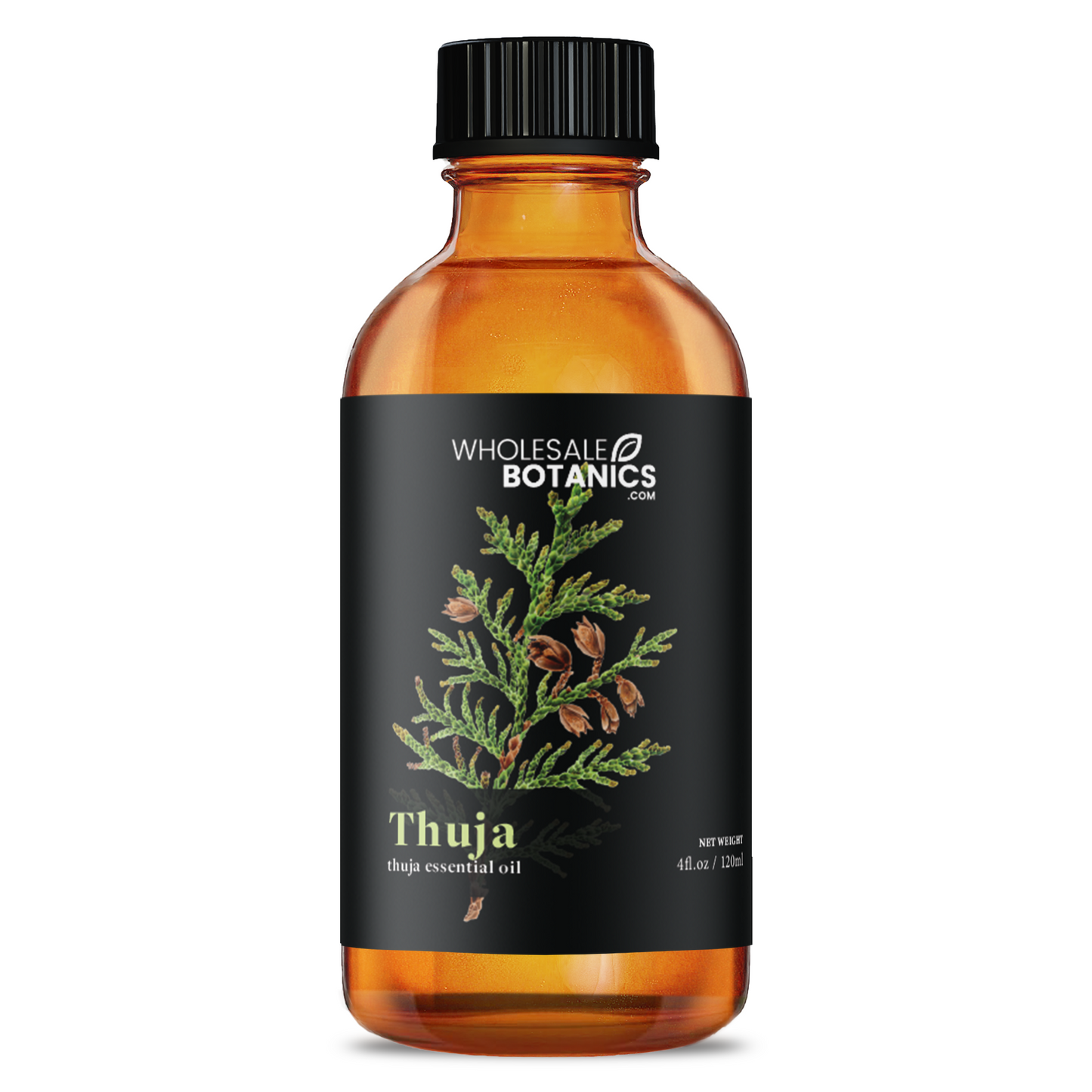 Thuja Essential Oil