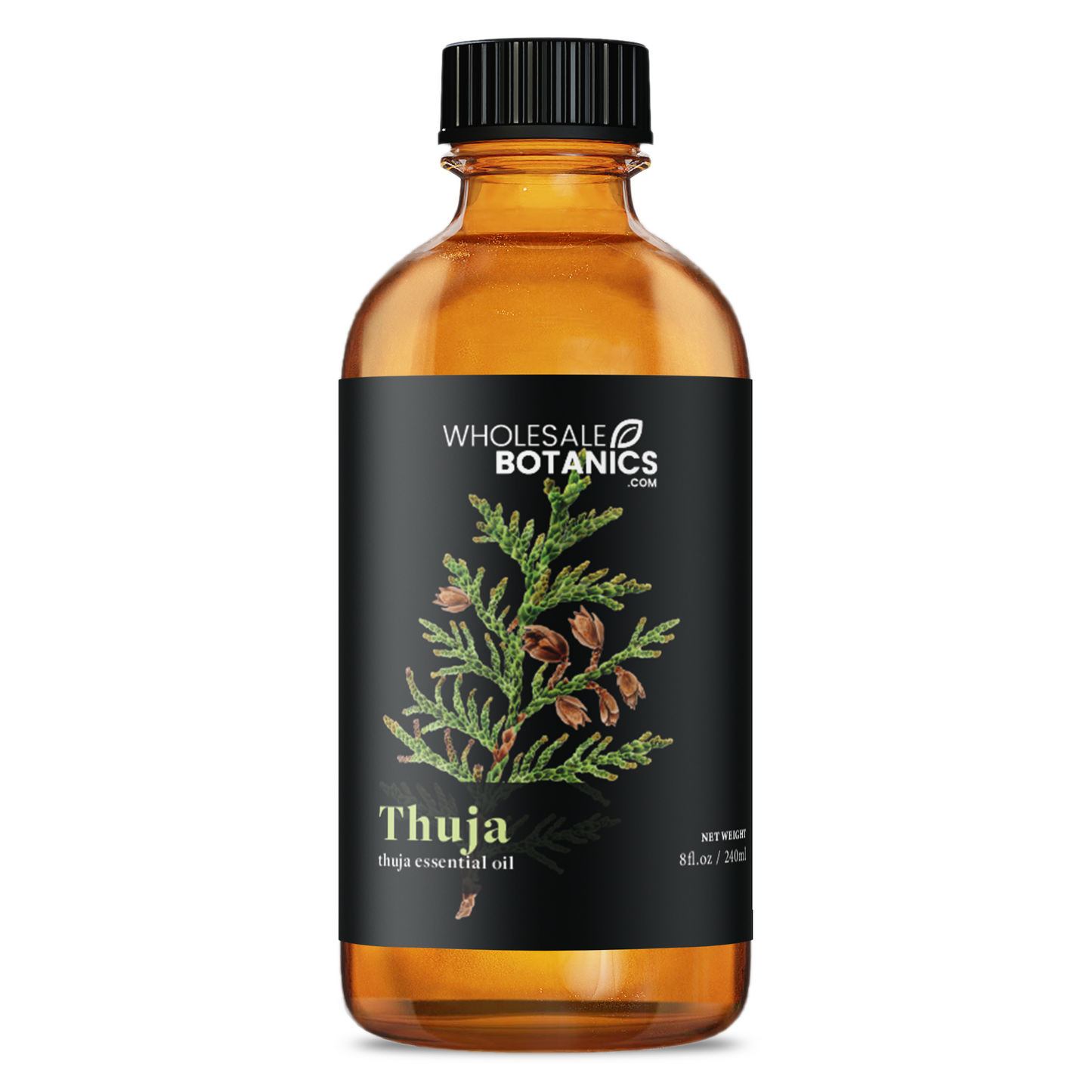 Thuja Essential Oil