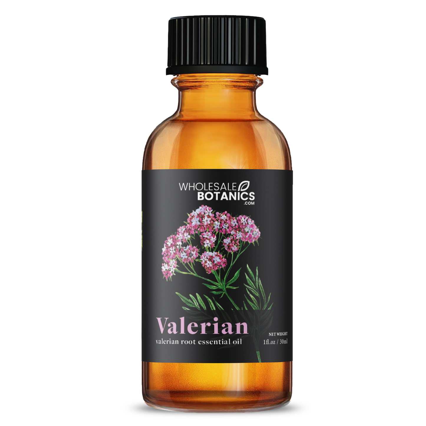Valerian Essential Oil