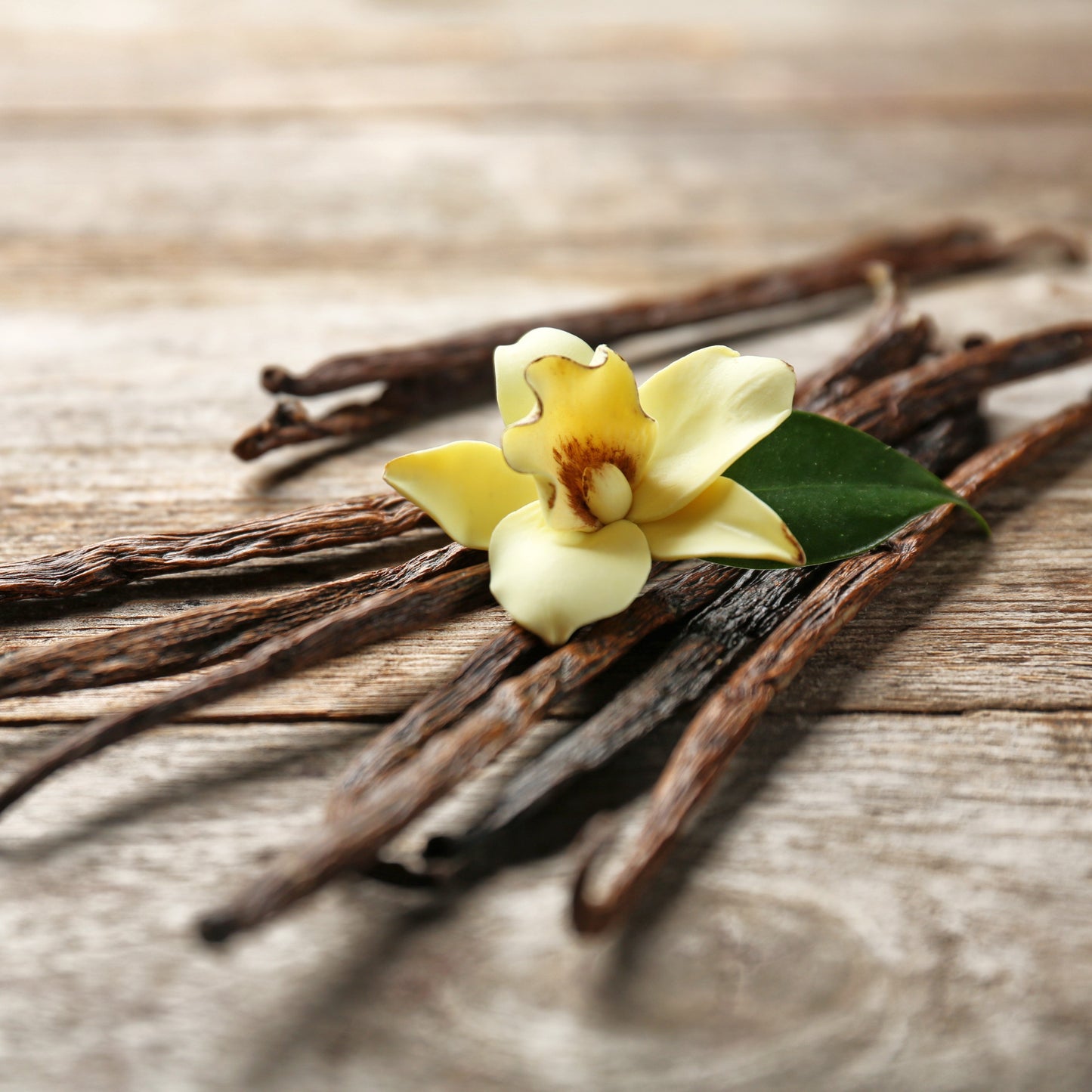 Vanilla Essential Oil