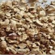 Wild Yam Root | Hormonal Balance, Cramps & Inflammation Support