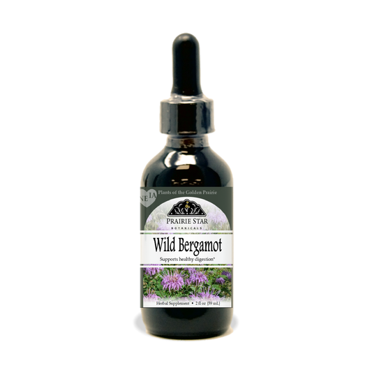 Wild Bergamot