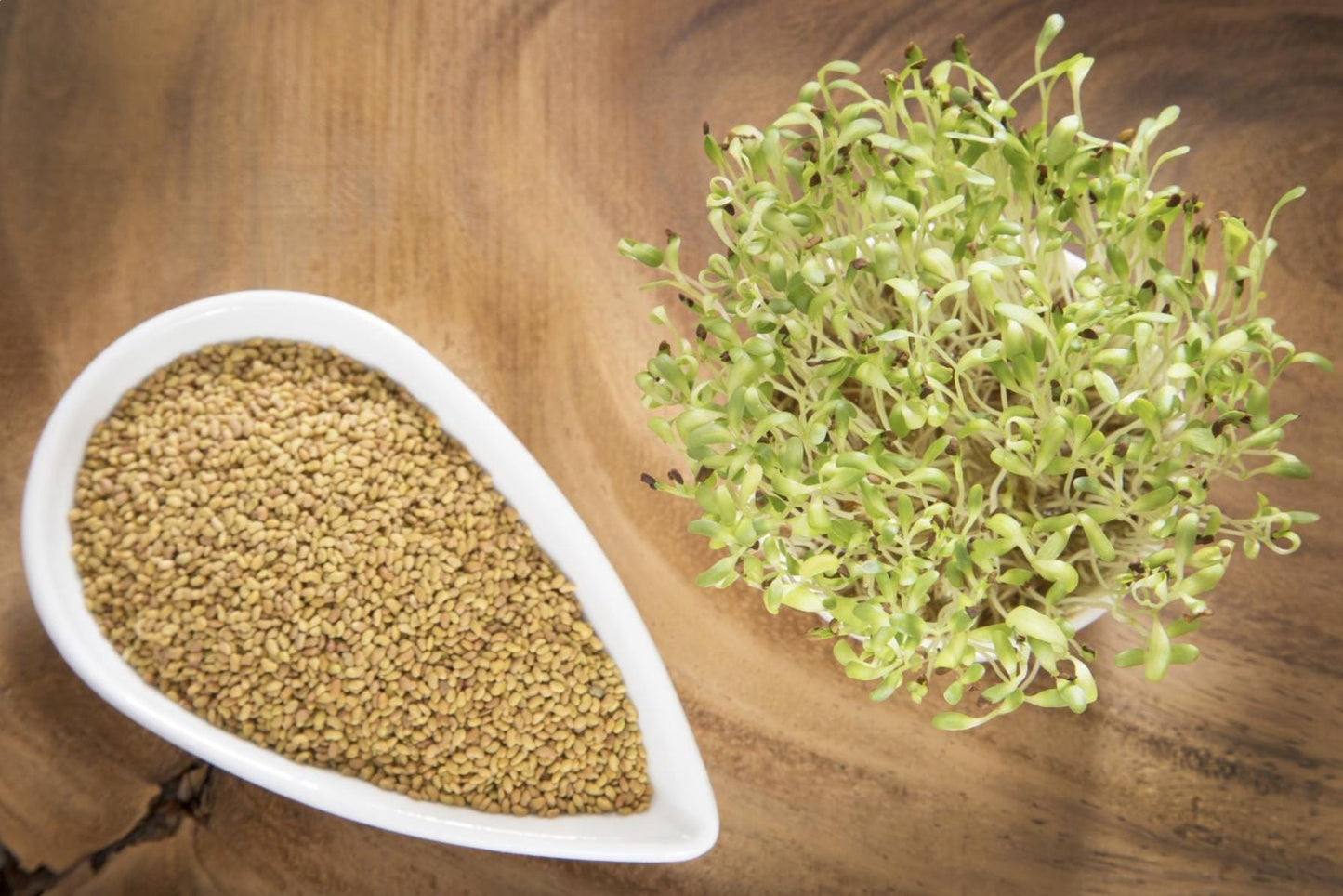 Alfalfa Seeds – Organic Sprouting Seeds – Non-Gmo Premium Alfalfa Seeds – Rich in Vitamins, Minerals, Fiber