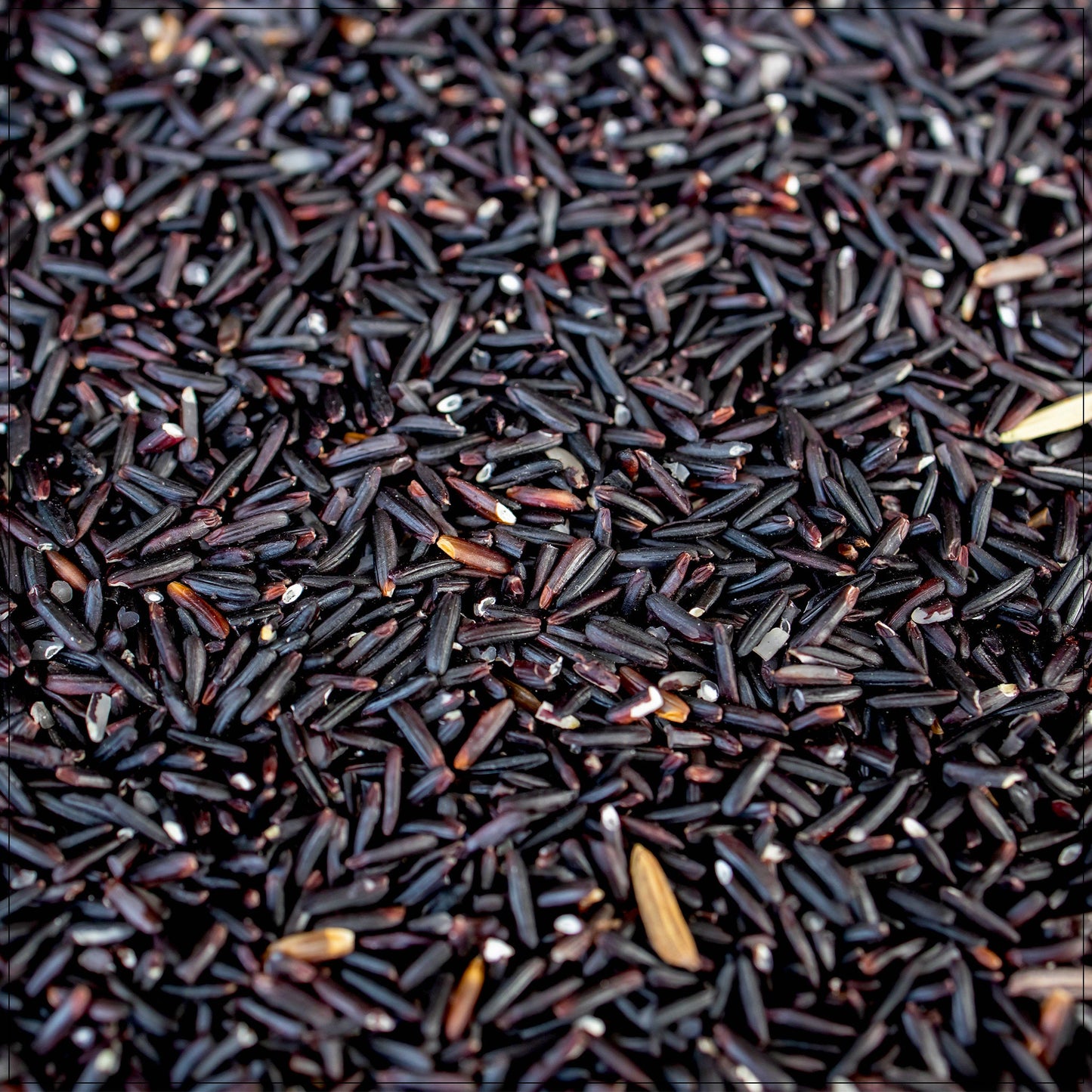 Black Sweet Rice