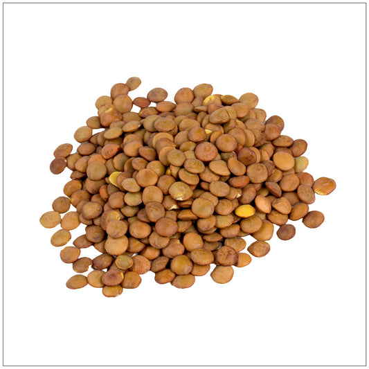 Brown Lentils