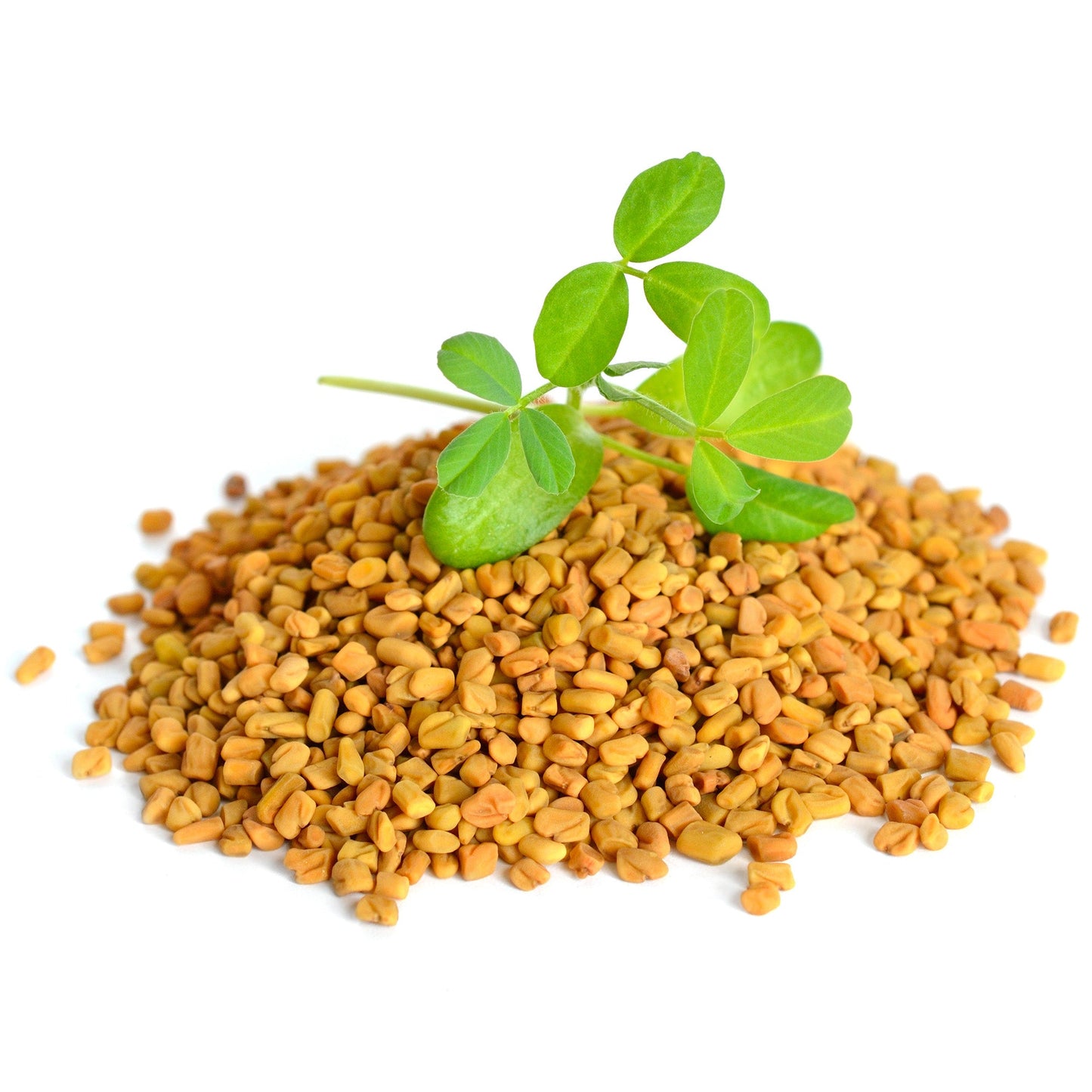 Fenugreek Seeds (Whole)