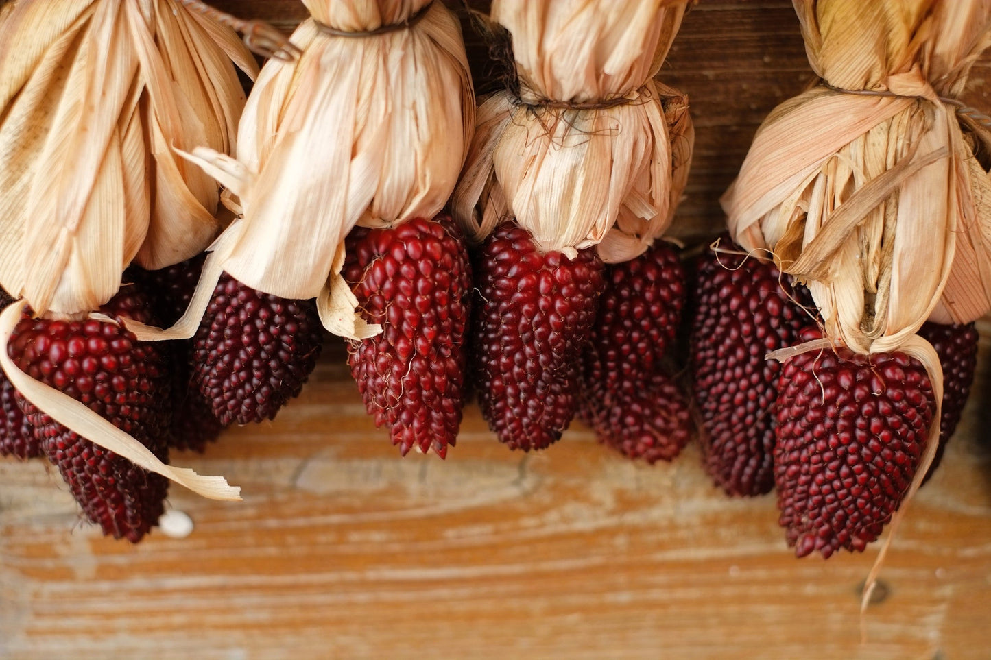 150 Red STRAWBERRY POPCORN CORN Zea Mays Vegetable Seeds