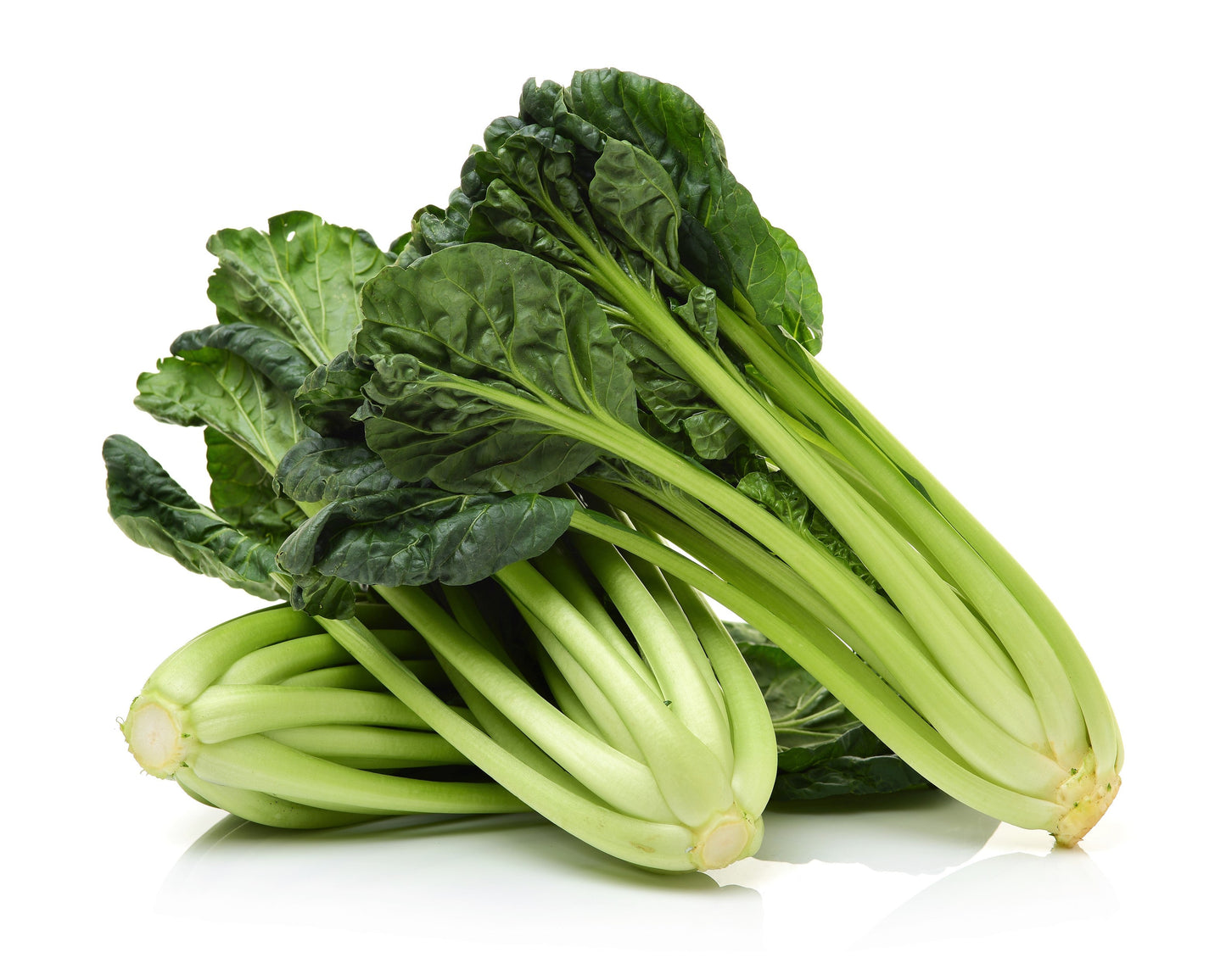 1000 TATSOI Brassica Rapa Rosularis Tat Soi Bok Choy Spinach Mustard Vegetable Seeds
