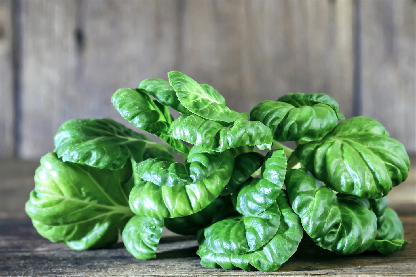 1000 TATSOI Brassica Rapa Rosularis Tat Soi Bok Choy Spinach Mustard Vegetable Seeds