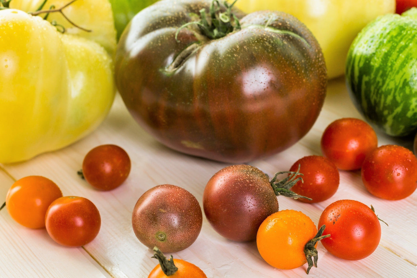 100 Organic PURPLE CHEROKEE TOMATO Lycopersicon Lycopersicum Fruit Vegetable Seeds