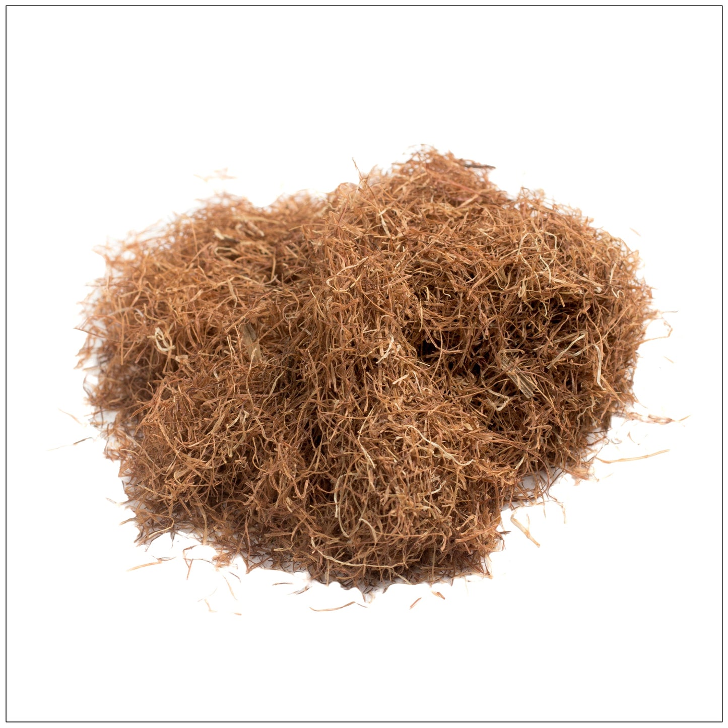 Dried Corn Silk