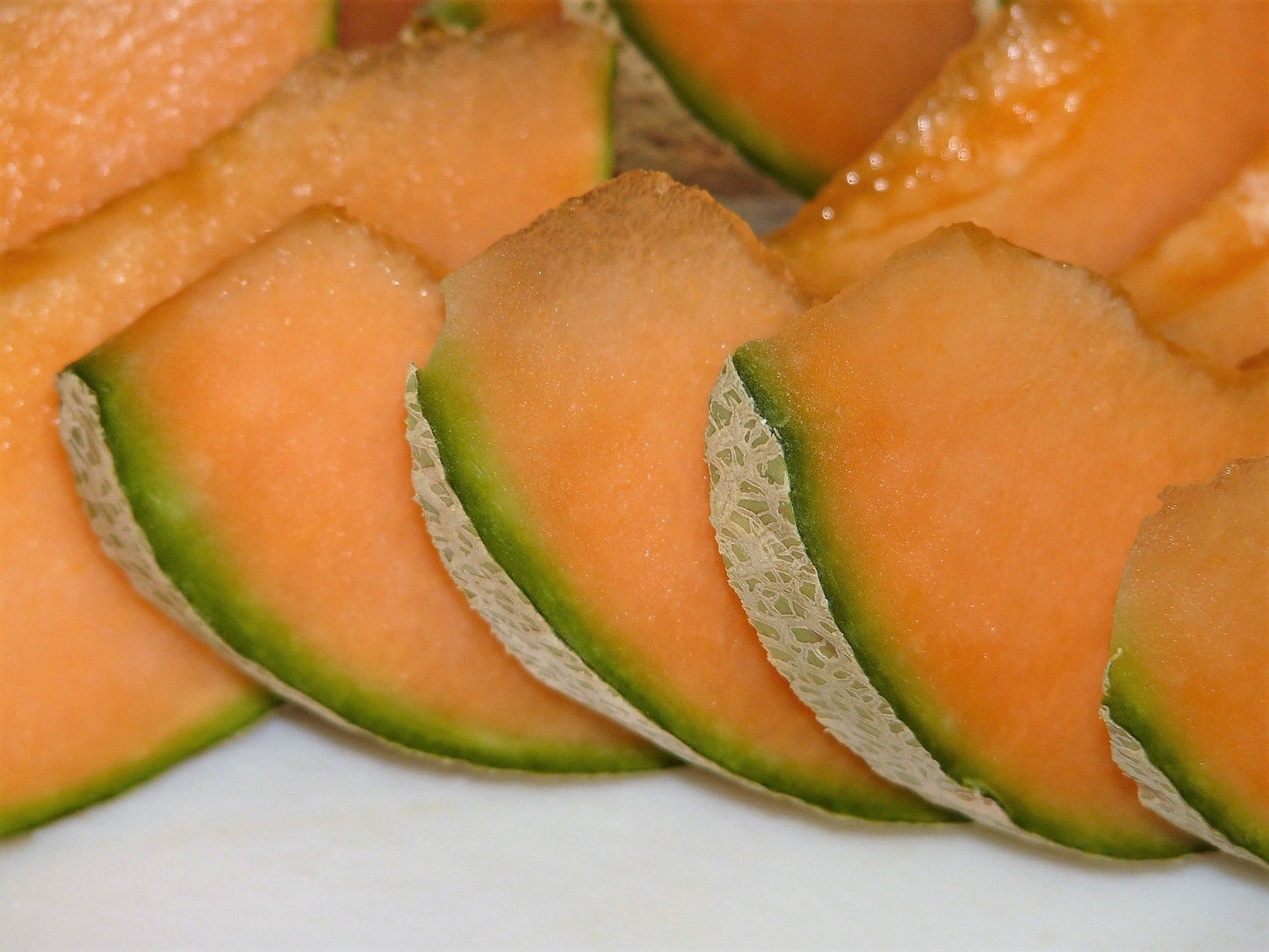 100 Minnesota MIDGET CANTALOUPE MELON Cucumis Melo Reticulatus Fruit Seeds