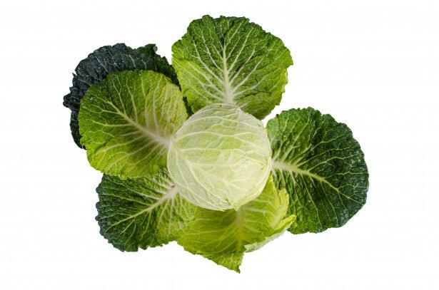 300 CHARLESTON WAKEFIELD CABBAGE Heirloom Cone Brassica Oleracea Vegetable Seeds