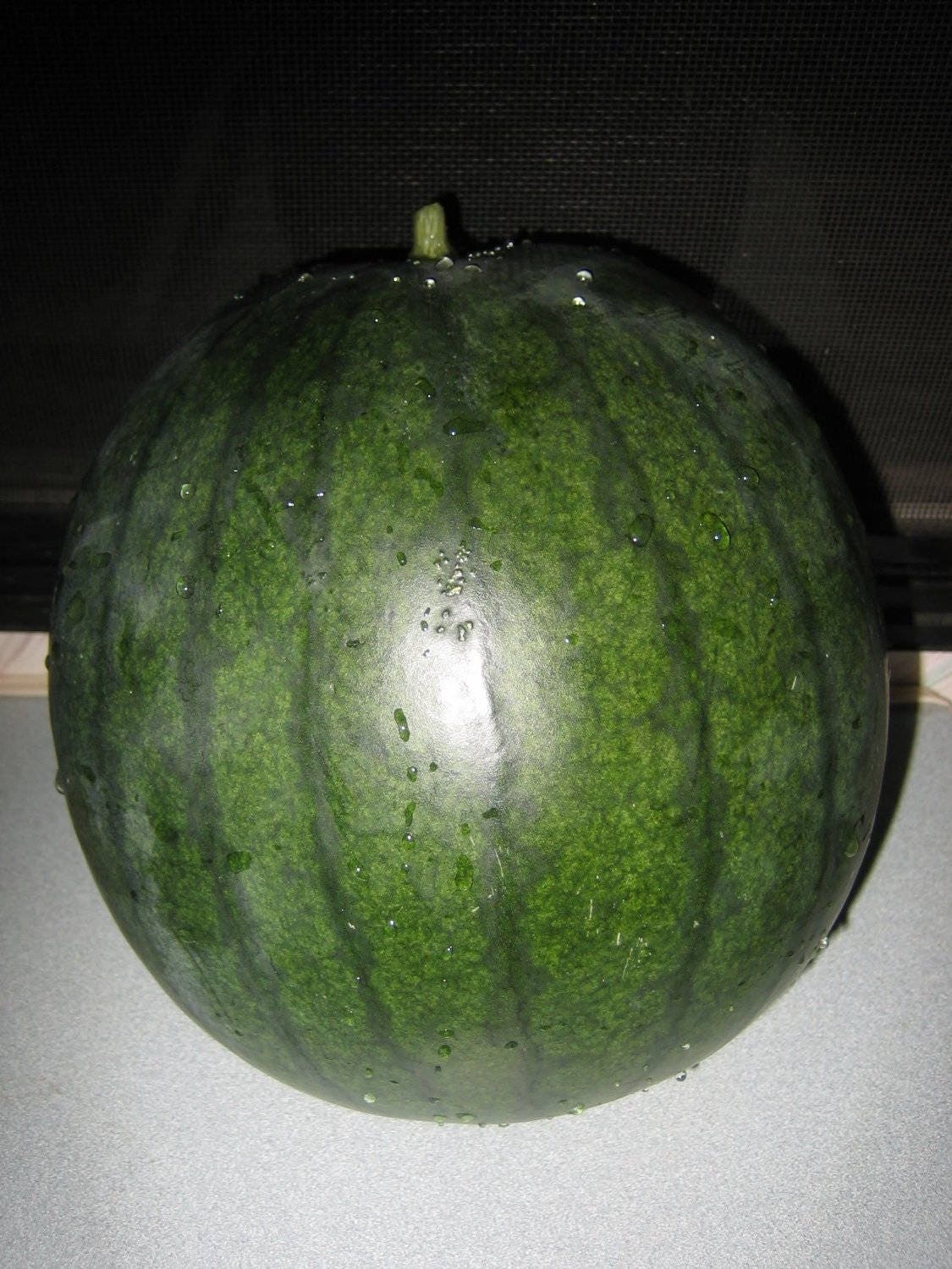 100 SUGAR BABY WATERMELON Citrullus lanatus Fruit Melon Seeds