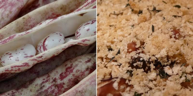 50 CRANBERRY BEAN French Horticulture Borlotti Roman Phaseolus Vegetable Seeds