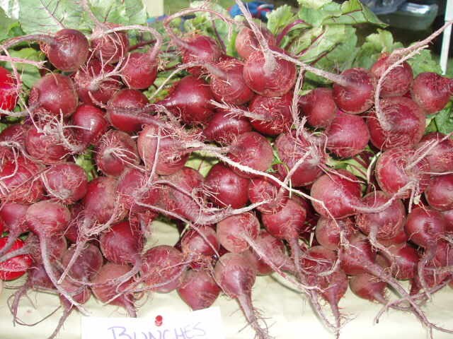 250 EARLY WONDER BEET Beta Vulgaris Vegetable Seeds