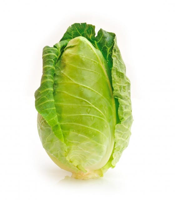 300 CHARLESTON WAKEFIELD CABBAGE Heirloom Cone Brassica Oleracea Vegetable Seeds