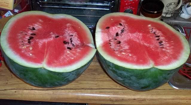 50 FLORIDA GIANT WATERMELON Cannon Ball Black Diamond Citrullus Fruit Seeds