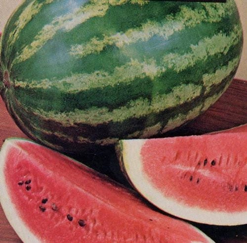 100 CRIMSON SWEET WATERMELON Citrullus lanatus Fruit Melon Seeds