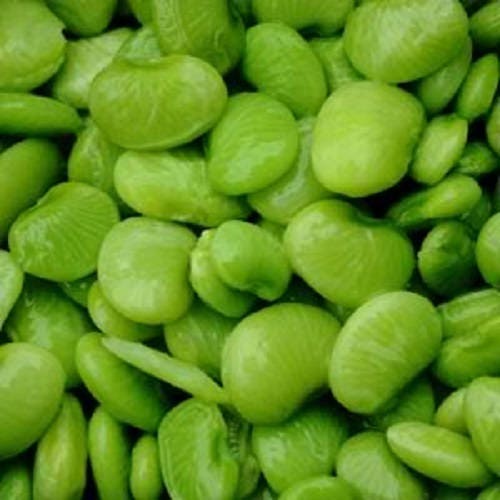 20 FORDHOOK LIMA BEAN Phaseolus Lunatus Bush Bean Vegetable Seeds