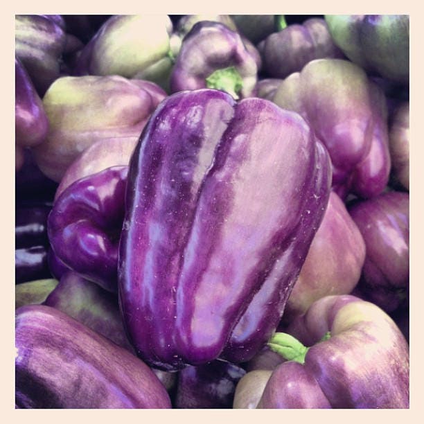 75 PURPLE BEAUTY PEPPER ( Sweet Mild Bell ) Capsicum Annuum Vegetable Seeds