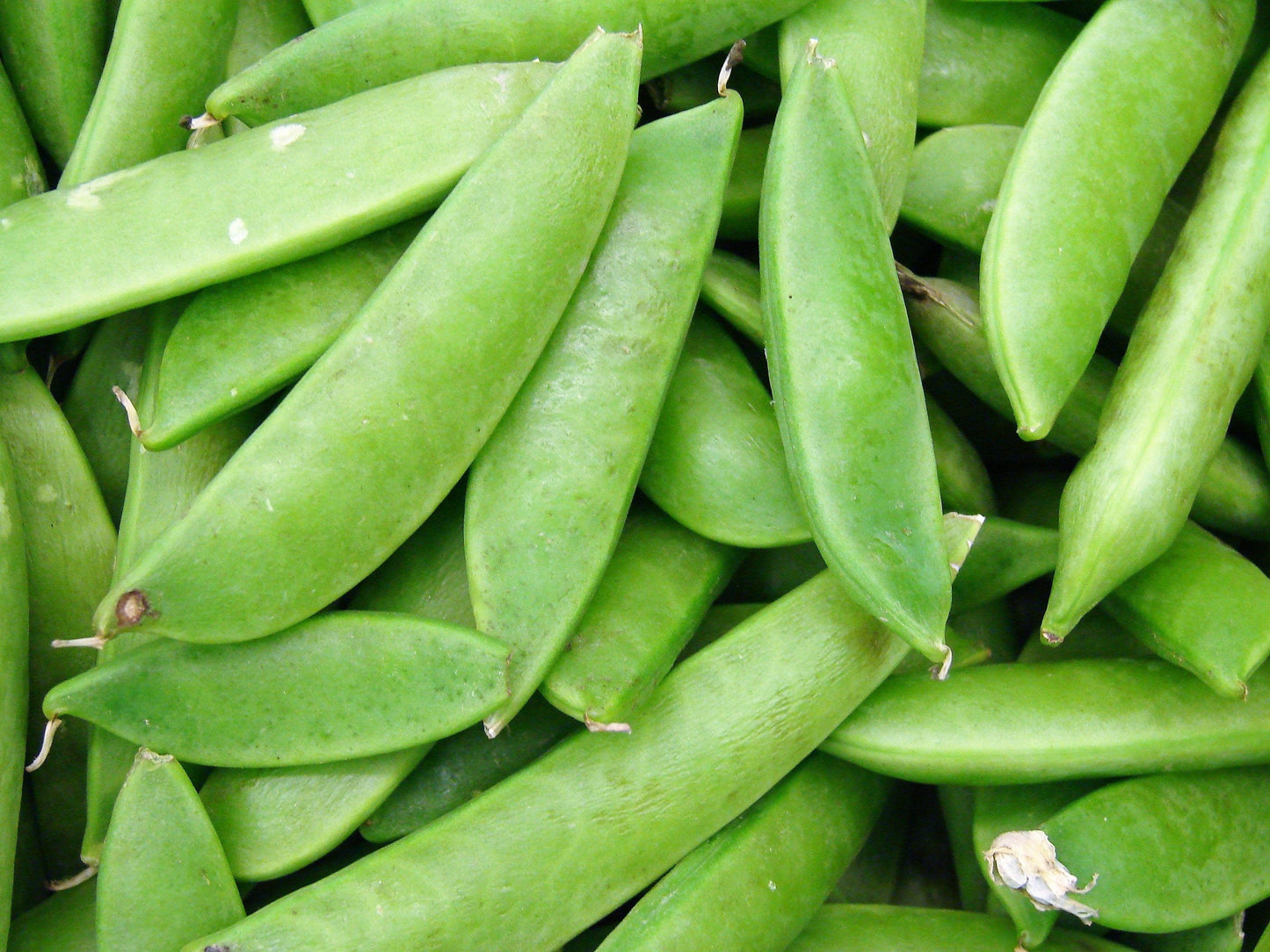 50 Super SUGAR SNAP PEA Pisum Sativum Macrocarpon Vegetable Seeds
