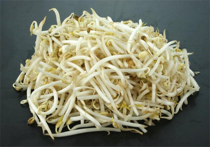 50 BURPEE STRINGLESS Green Pod BEAN French Phaseolus Vulgaris Vegetable Seeds