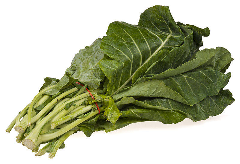 1000 PREMIER KALE Early Hanover Brassica Oleracea Greens Vegetable Seeds