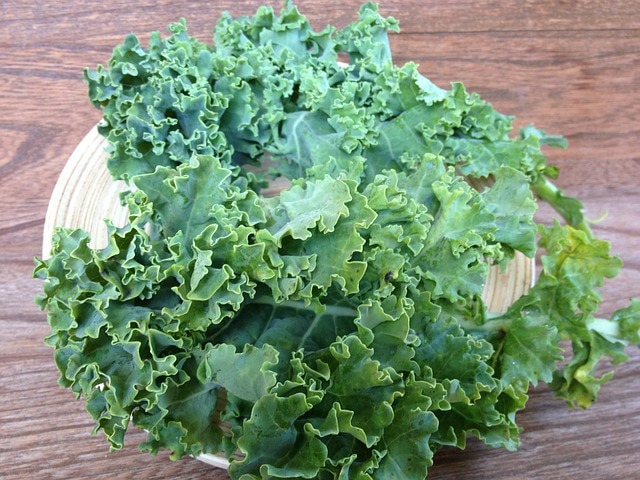 1000 HANOVER SALAD Spring KALE Smooth Siberian Brassica Napus Vegetable Seeds