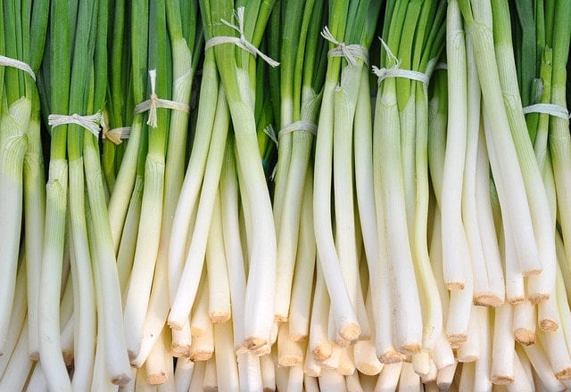 300 Evergreen NEBUKA BUNCHING ONION Japanese Allium Fistulosum Vegetable Seeds