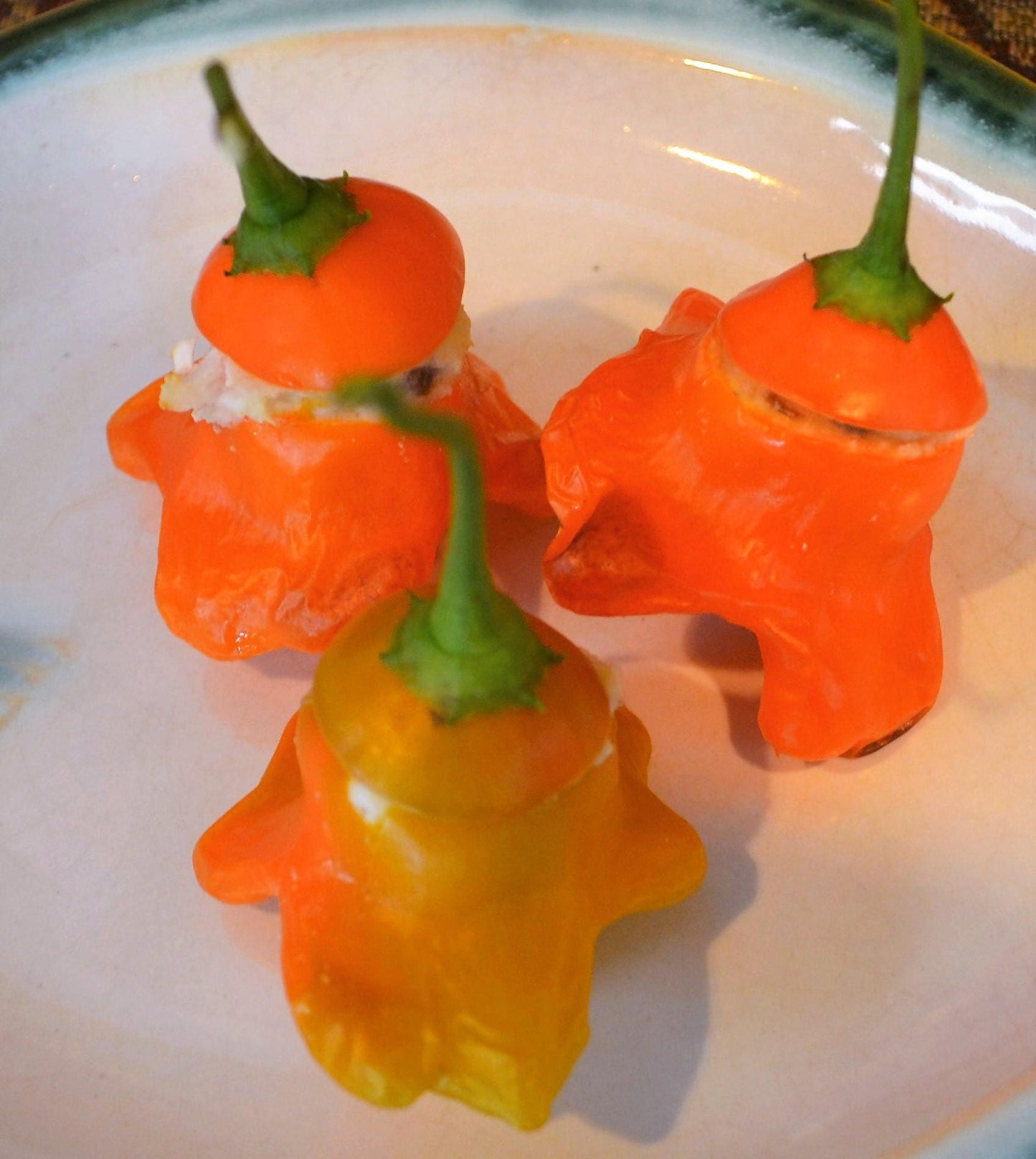 40 Orange SCOTCH BONNET PEPPER very hot Jamaican Capsicum Chinense Vegetable Seeds