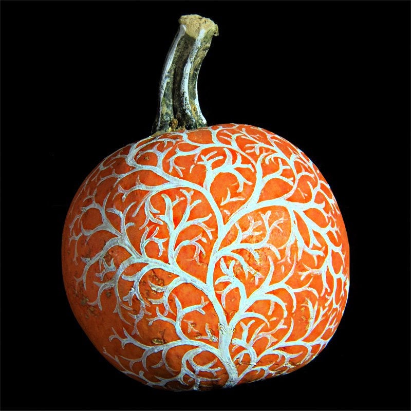 50 SPOOKIE PUMPKIN aka Deep Sugar Pie Pumpkin Cucurbita Pepo Vegetable Seeds