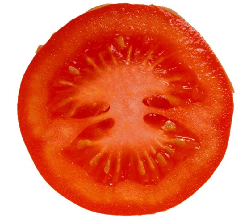 200 Red RUTGERS TOMATO Lycopersicon Globe Determinate 8 oz Fruit Vegetable Seeds