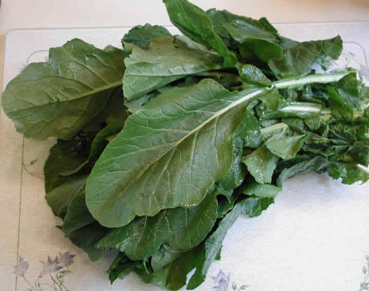1500 SEVEN TOP TURNIP For Leaf Greens & Sprouts Brassica Rapa Vegetable Seeds