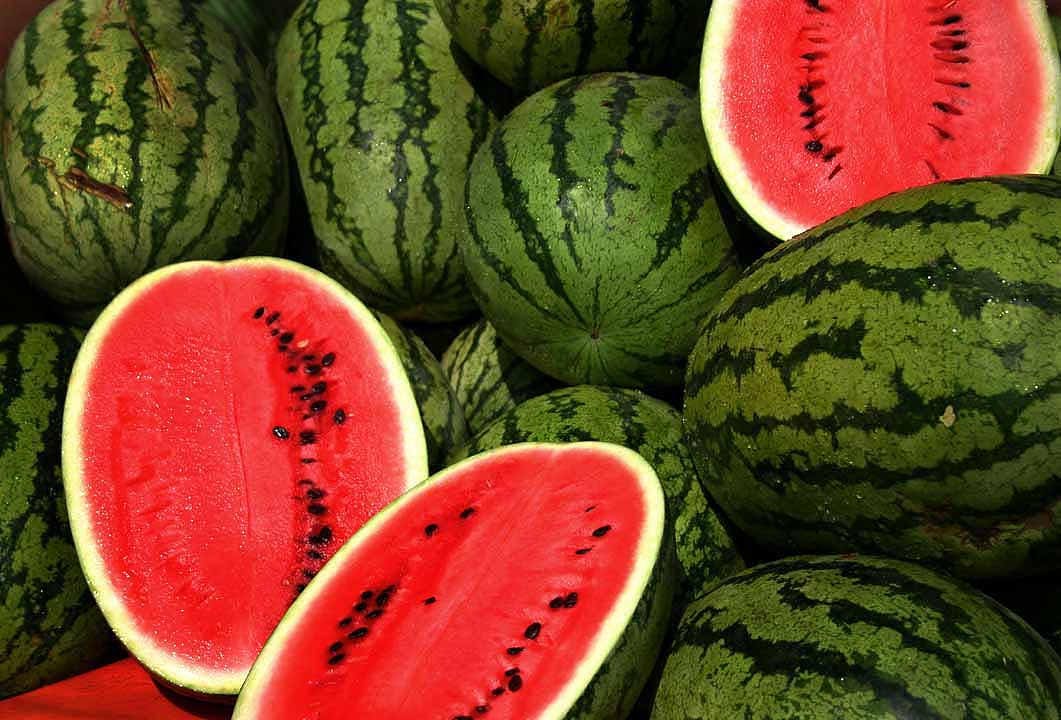 20 CAL SWEET Supreme WATERMELON Red Citrullus Lanatus 30 lb Melon Fruit Seeds