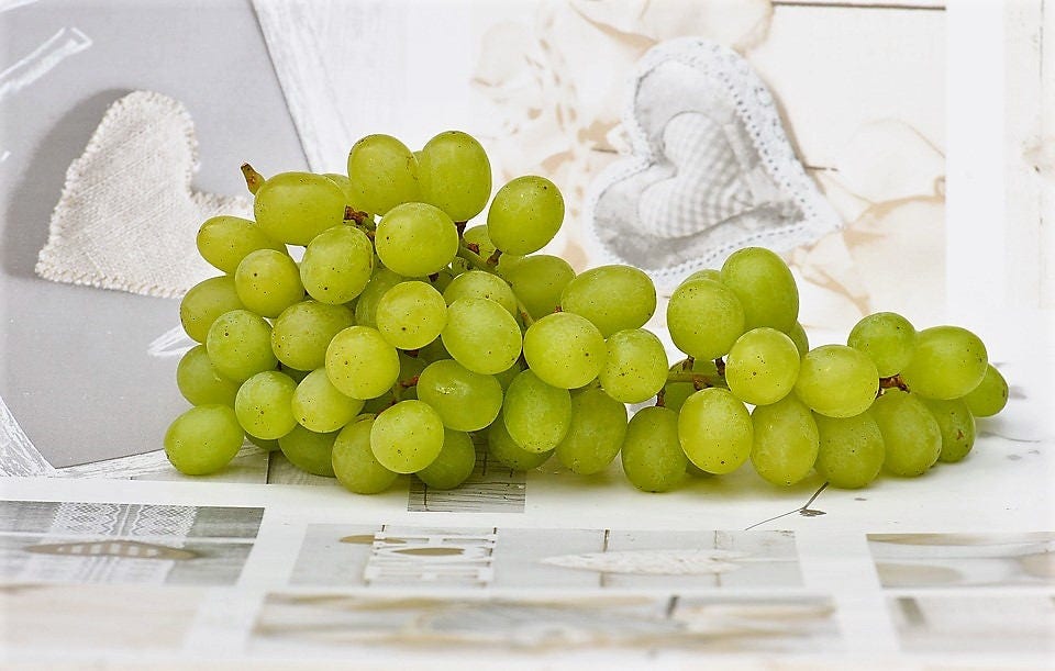 50 GREEN (Dessert / Table) GRAPE Vitis Vinifera Fruit Vine Seeds