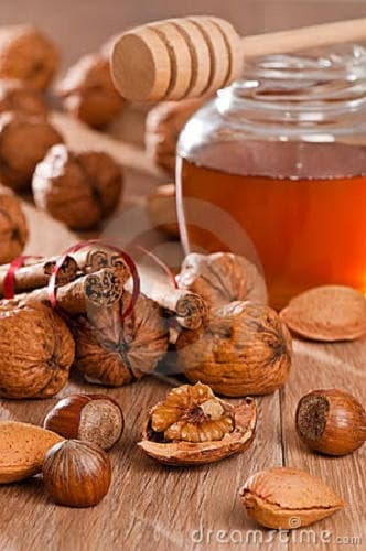 5 AMERICAN HAZELNUT TREE aka Filbert Corylus Americana Fruit Nut Seeds