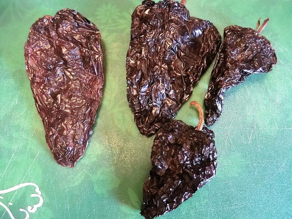 40 MULATO ISLENO PEPPER Brown Mildly Hot Ancho Poblano Capsicum Vegetable Seeds