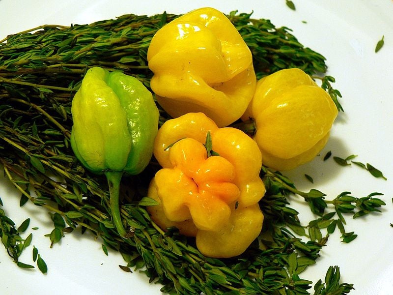 40 Yellow SCOTCH BONNET PEPPER very hot Jamaican Capsicum Chinense Vegetable Seeds