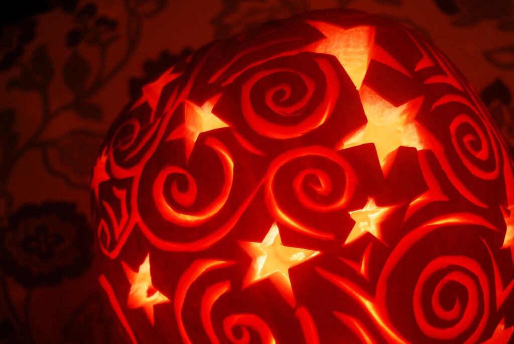 50 CONNECTICUT FIELD PUMPKIN BigTom Orange Yankee Cucurbita Pepo Vegetable Seeds