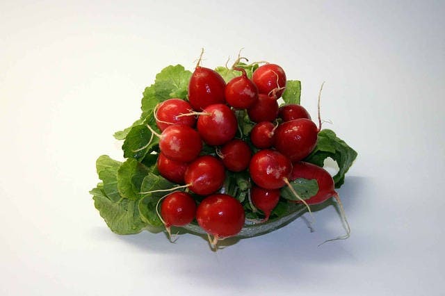 500 CHAMPION RADISH Sweet Scarlet Red Raphanus Sativus Root Vegetable Seeds