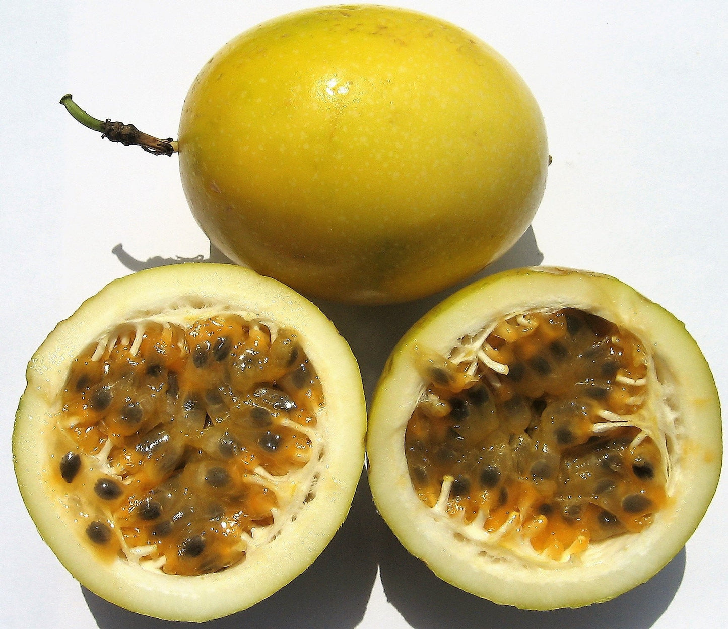 10 YELLOW PASSION FRUIT Vine Passiflora Edulis Flavicarpa Golden Passionfruit Purple & White Flower Seeds