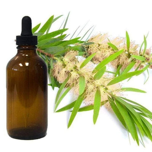 Cajeput Essential Oil