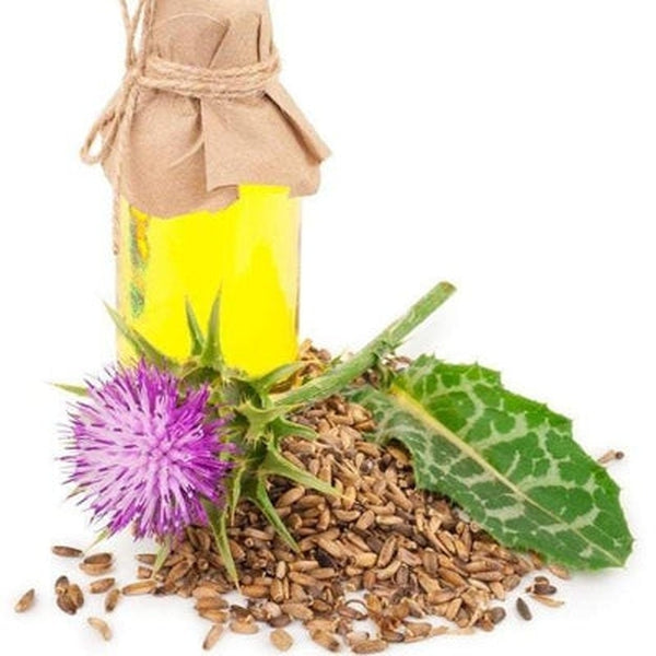 Milk Thistle Seed Oil