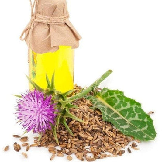 Milk Thistle Seed Oil
