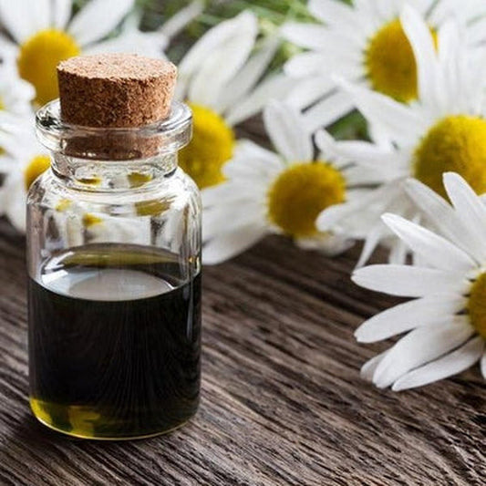 Blue Chamomile Essential Oil (German Chamomile)