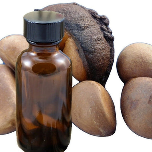 Andiroba Oil - Virgin *Clearance*